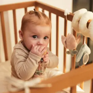 Rain Rattle Lovely Birds Holz Jollein