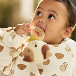 Beißring Dog Mick Jollein