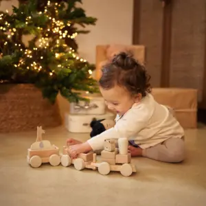 Holzeisenbahn Jungle Jambo Jollein