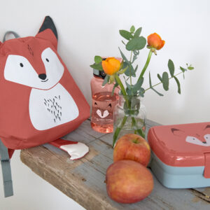 Lunch Set About Friends Fox