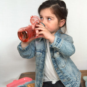 Lunch Set About Friends Dino Lässig