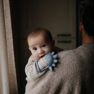 Mushie Sensory Teether Tradewinds Dino