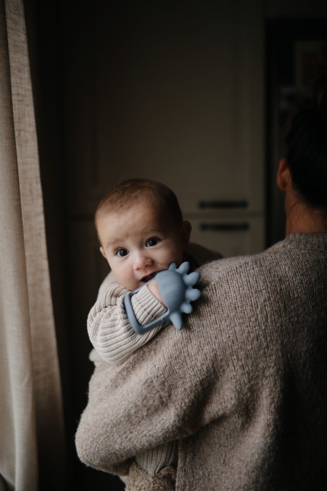 Mushie Sensory Teether Tradewinds Dino