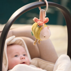 Kinderwagenanhänger Pretty Picnic - Bee Jollein